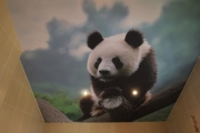 фотопечать панда на тканевом натяжном потолке
